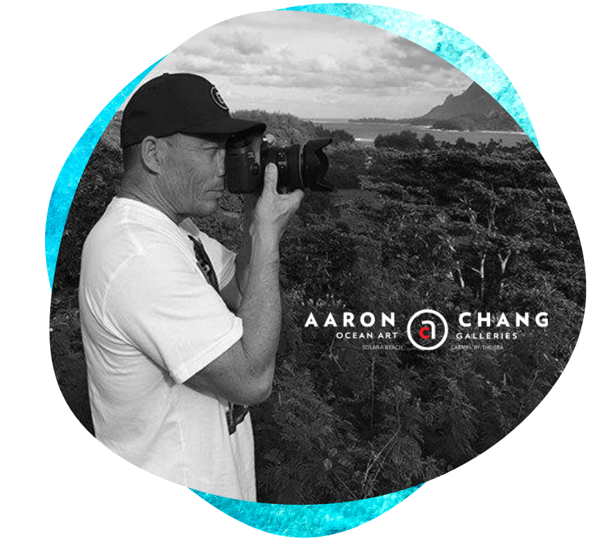 Aaron Chang Case Study Header