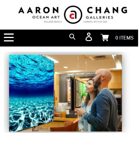 aaron chang case study featured image
